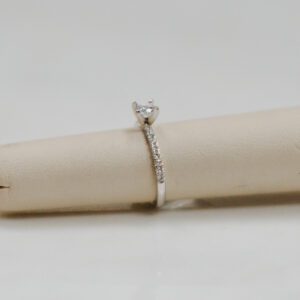 14kt White gold Diamond band engagement ring with .21ctw of accent round Diamonds.