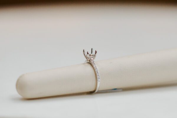14kt White gold hidden halo engagement ring with .24ctw of accent round Diamonds.