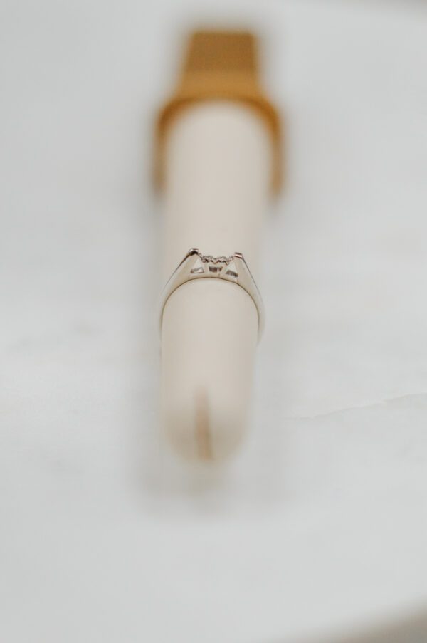14k white Cathedral Diamond Band